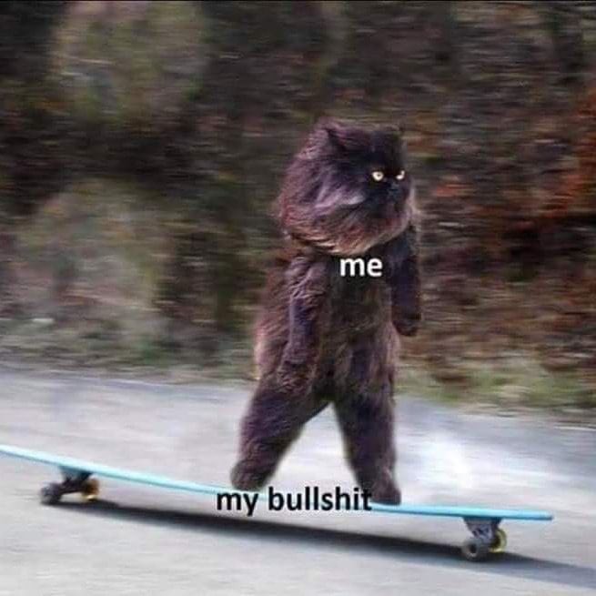 a cat standing up on its hind legs on a longboard (skateboard) going down a relatively gentle slope. The cat is captioned me and the longboard is captioned my bullshit, thus showing that I am back on my bullshit.