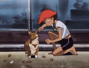 "A corgi, probably from an anime show, bouncing out of a scene with a bunch of nope captions"