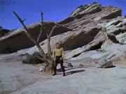 "Zoom in on Captain Kirk standing under a dead tree on a hostile planet as he's captioned as saying you've gotta be shitting me"