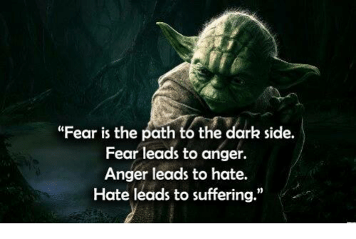 "From Star Wars Empire Strikes Back, Yoda: Fear is the path to the dark side. Fear leads to anger. Anger leads to hate. Hate leads to suffering."