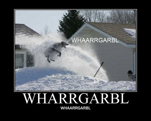 "A dog jumping over a snowbank into the air to take a face full of snow coming from a snow plow. Captioned wharrgarbl on the picture, underneath the picture, and underneath the caption."