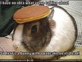 Pancake-bunny.jpeg
