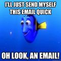 Dory-email.jpeg